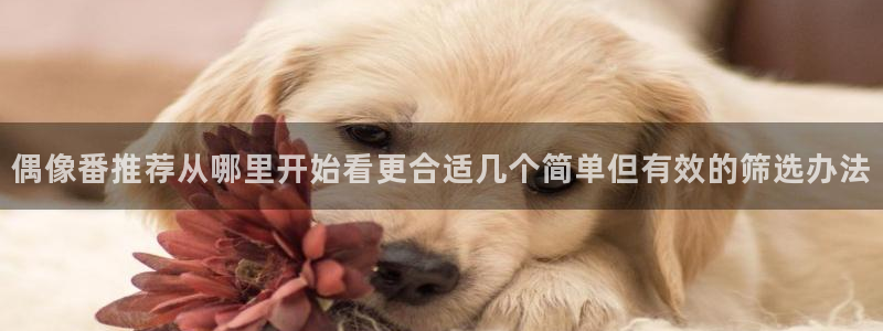 omofun动漫在线观看：偶像番推荐从哪里开始看更合适几个简单但有效的筛选办法配图