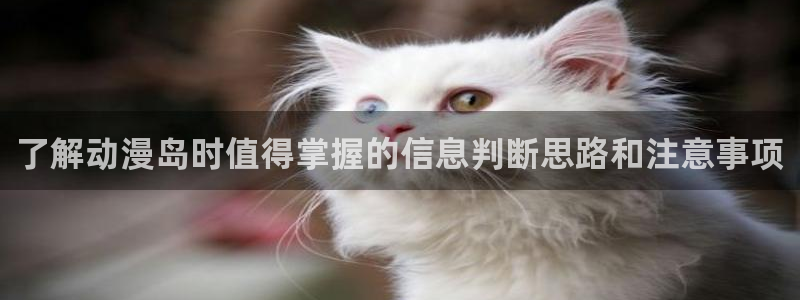 omofun网页版在线观看：了解动漫岛时值得掌握的信息判断思路和注意事项配图