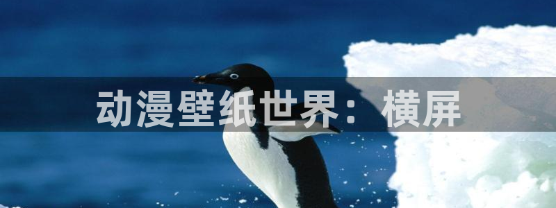 omofun国漫大全:动漫壁纸世界:横屏配图