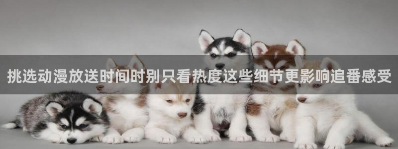omofun动漫免费在线看:挑选动漫放送时间时别只看热度这些细节更影响追番感受配图